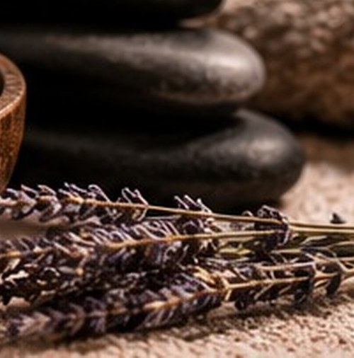 Immagine editoriale per Il Riccio – Parrucchiere Estetica